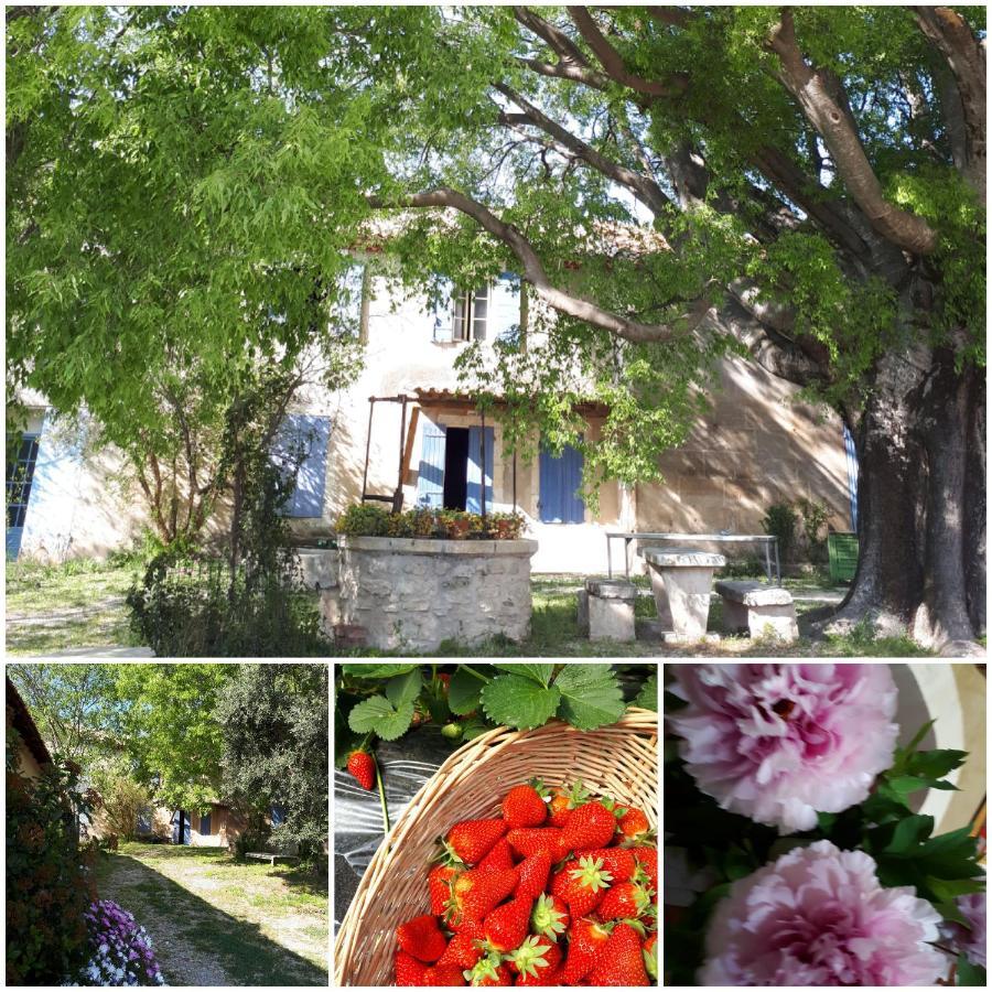 Mas Saint-Joseph Bed and Breakfast Fontvieille Eksteriør billede